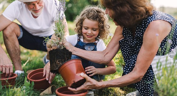 Großeltern pflanzen Blume in Topf mit Enkelin